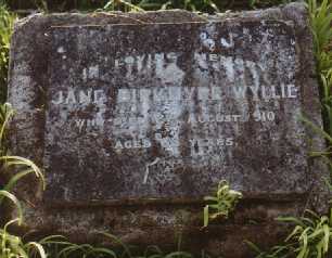 Jane Birkmire Wyllies Gravestone